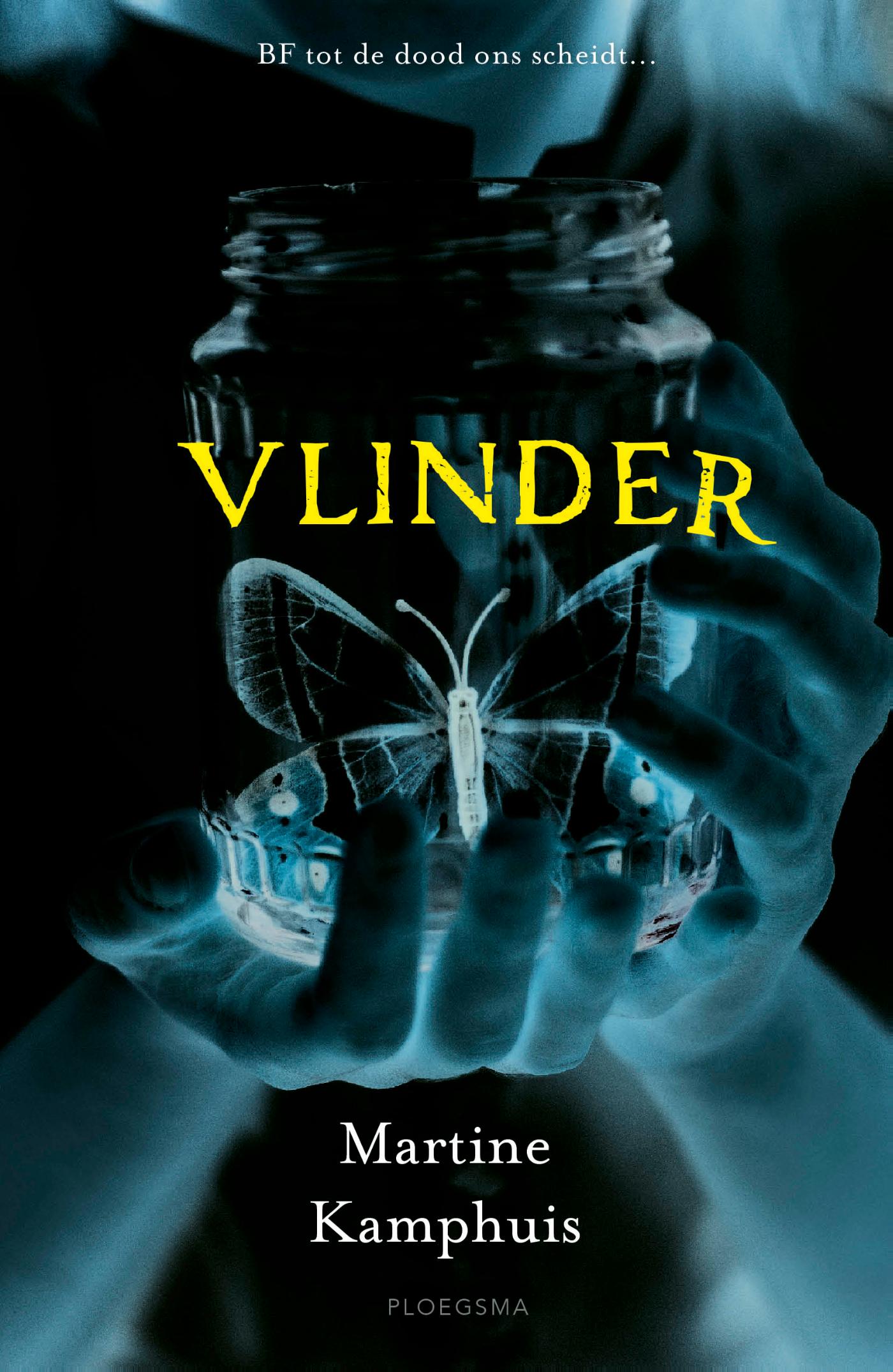 Vlinder - Martine Kamphuis - Kinderboeken.nl